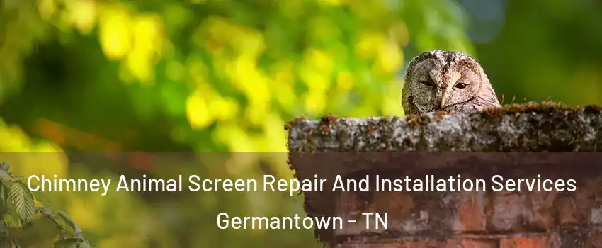  Chimney Animal Screen Repair And Installation Services Germantown - TN