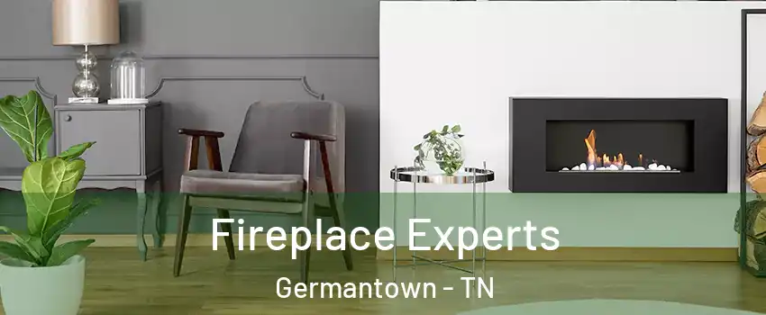 Fireplace Experts Germantown - TN