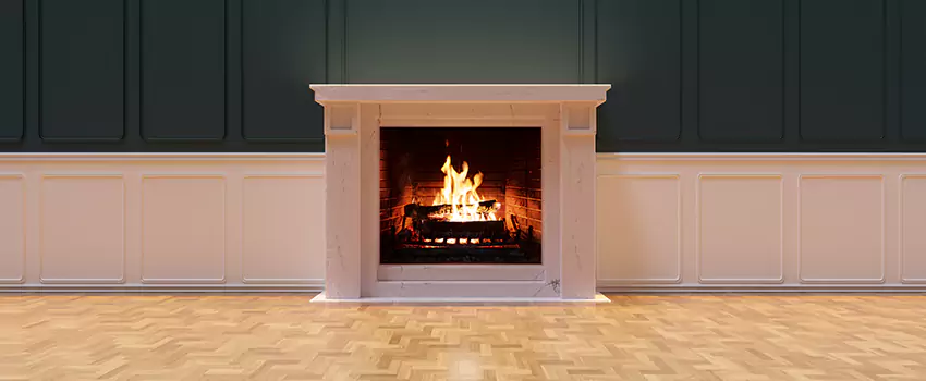 Napoleon Electric Fireplaces Inspection Service in Germantown, Tennessee