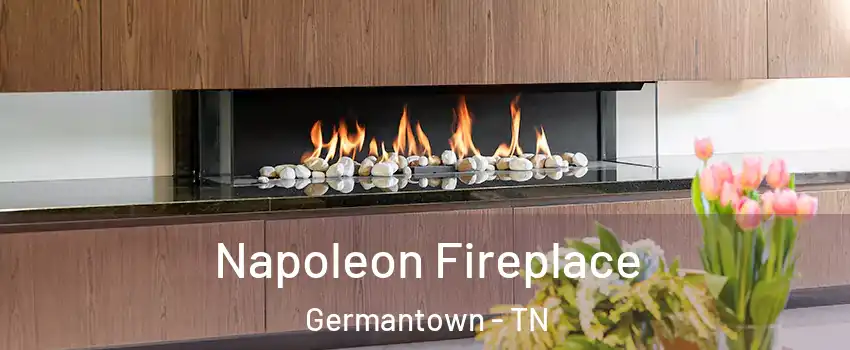  Napoleon Fireplace Germantown - TN